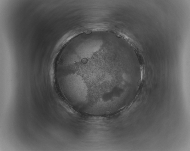 X0000111790339200907231147