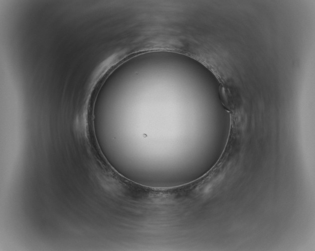 X0000111790340200907231147