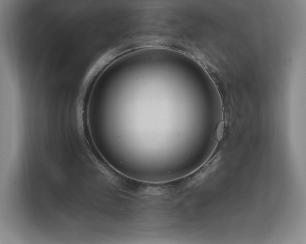 X0000111790341200907231147