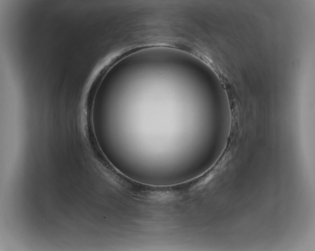 X0000111790342200907231147