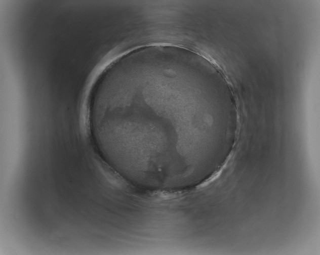 X0000111790343200907231147