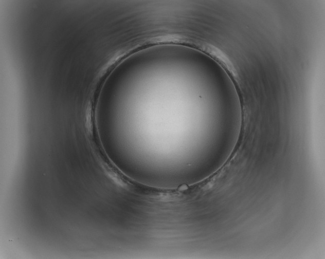 X0000111790345200907231147