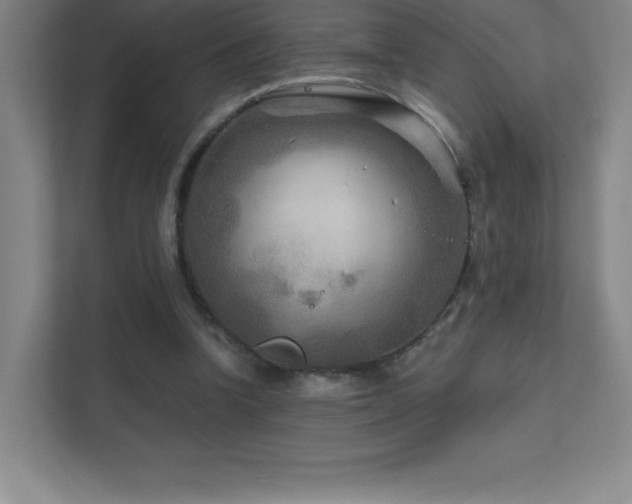 X0000111790346200907231147