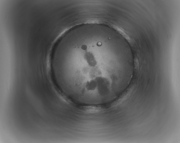 X0000111790347200907231147