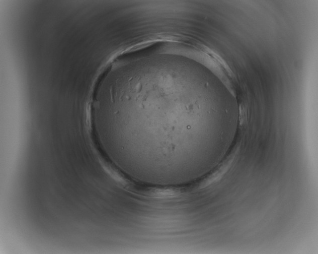 X0000111790349200907231147