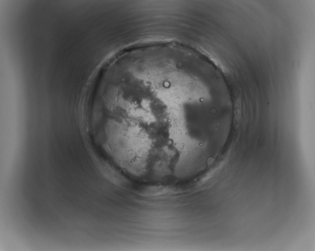 X0000111790351200907231147