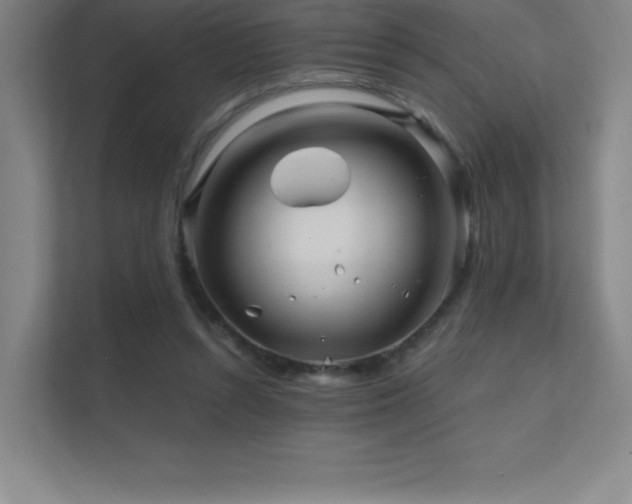 X0000111790352200907231147