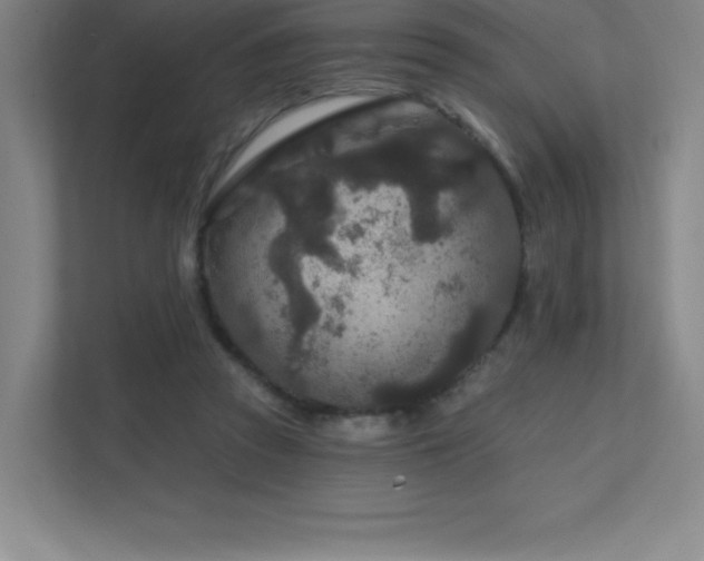 X0000111790353200907231147