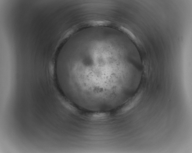 X0000111790357200907231148