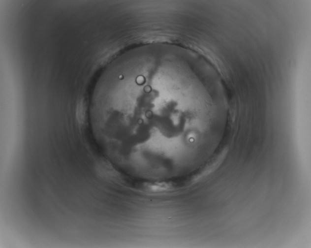 X0000111790359200907231148