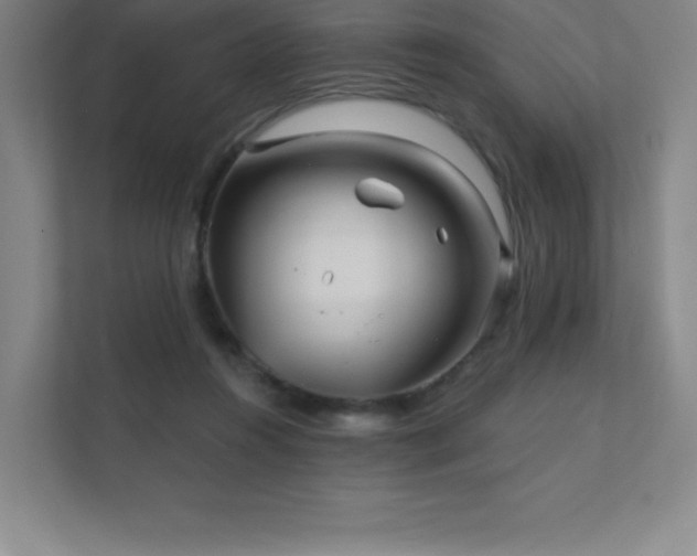 X0000111790360200907231148