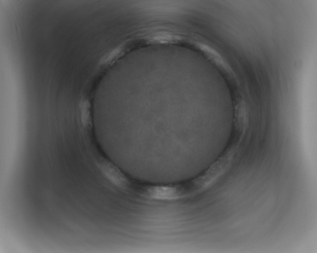 X0000111790361200907231148