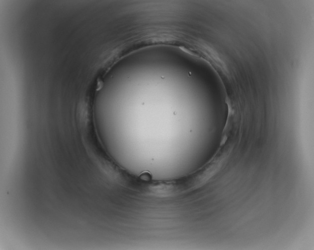 X0000111790362200907231148