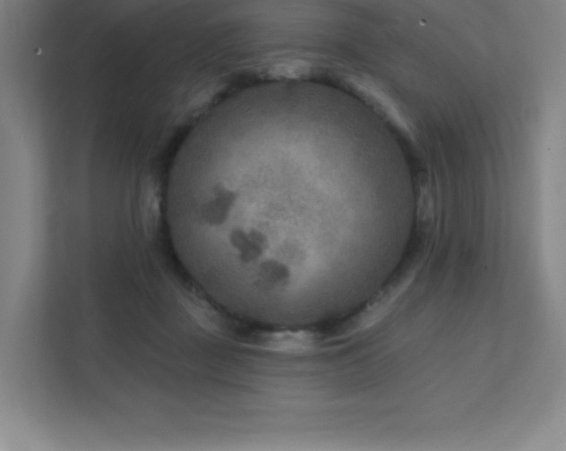 X0000111790363200907231148