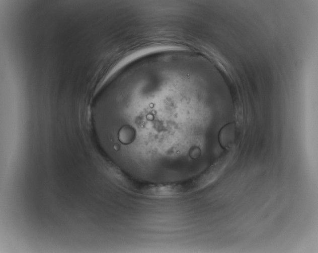 X0000111790365200907231148