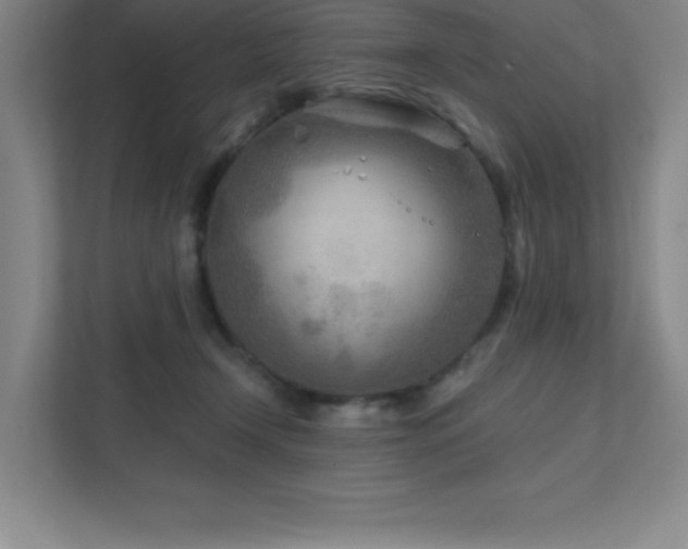 X0000111790366200907231148