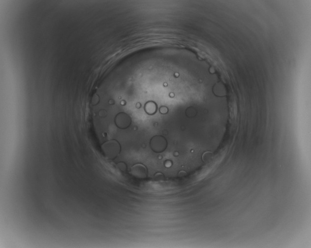 X0000111790367200907231148