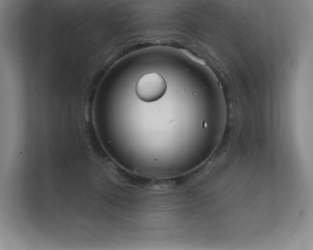 X0000111790368200907231148