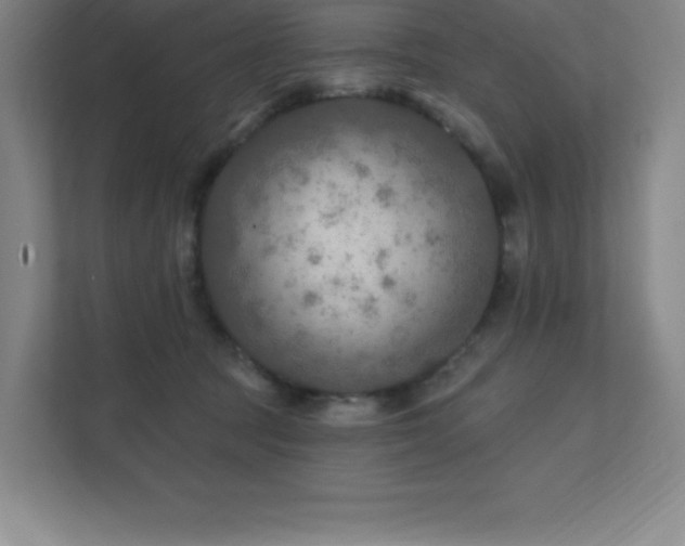 X0000111790369200907231148