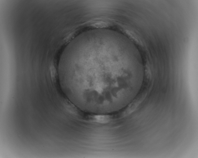 X0000111790371200907231148