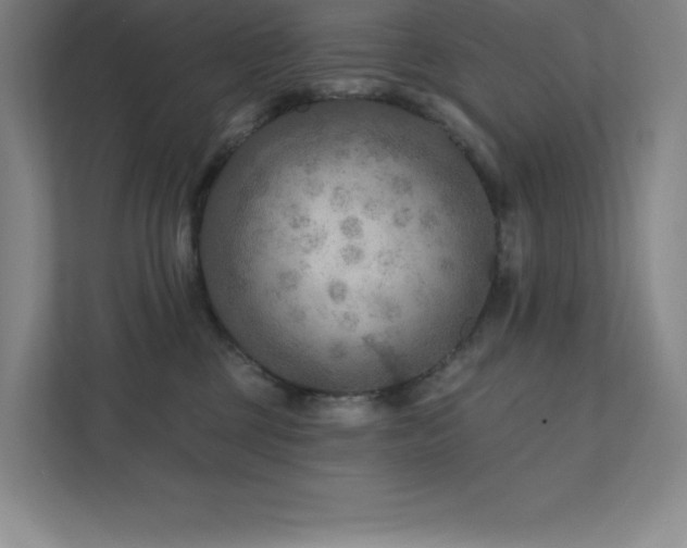 X0000111790377200907231148