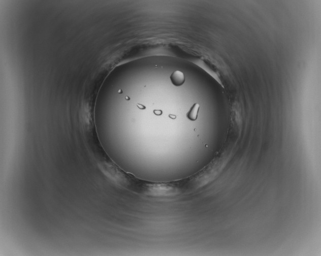 X0000111790380200907231148