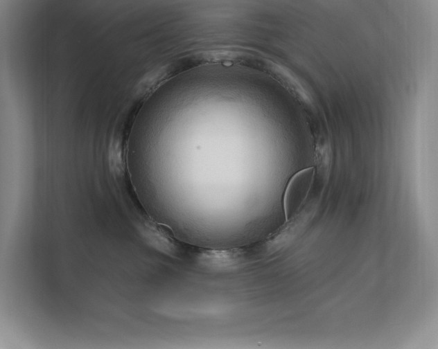 X0000111790381200907231148