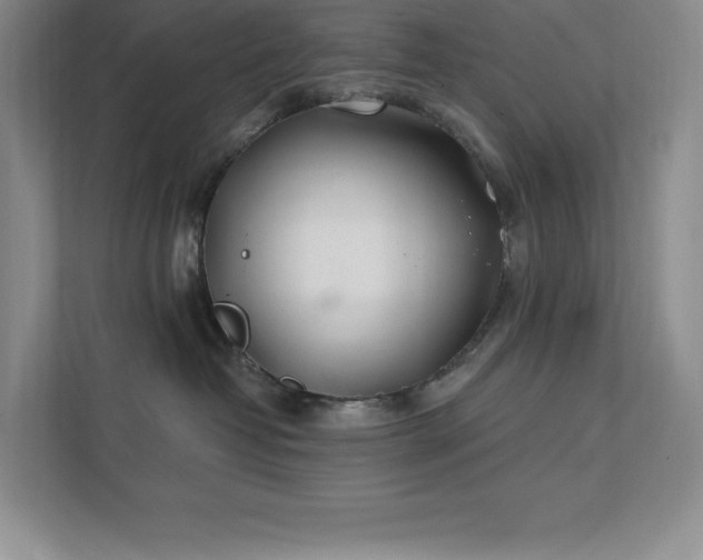 X0000111790382200907231148