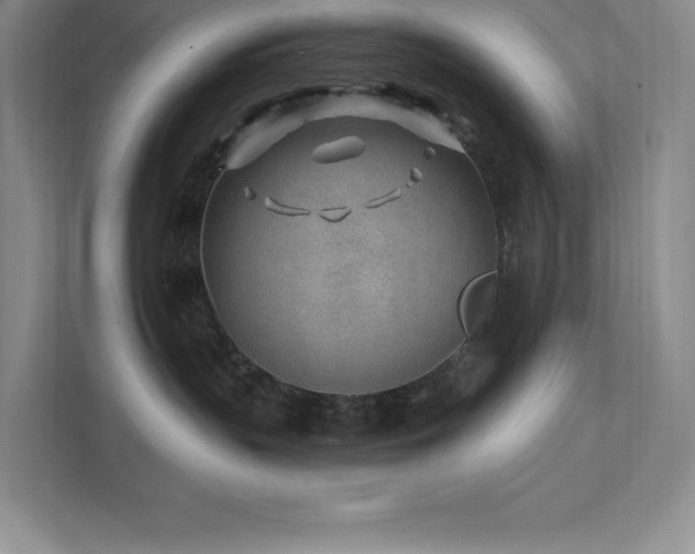 X0000111790383200907231148