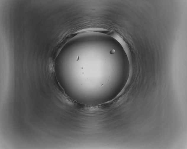 X0000111790384200907231148