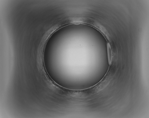 X0000111790385200907231147