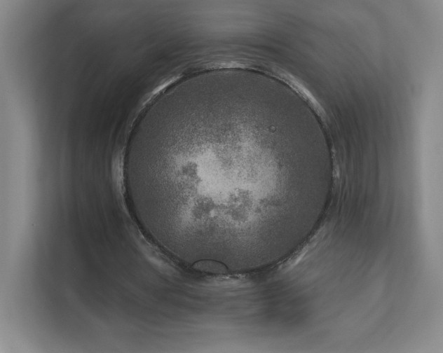 X0000111790386200907231147