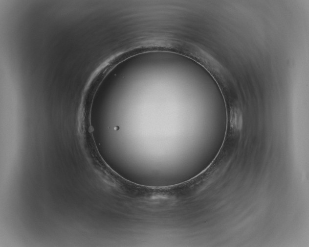 X0000111790388200907231147