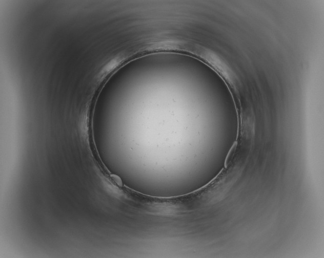 X0000111790389200907231147