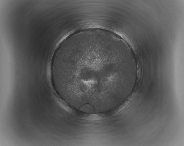 X0000111790390200907231147