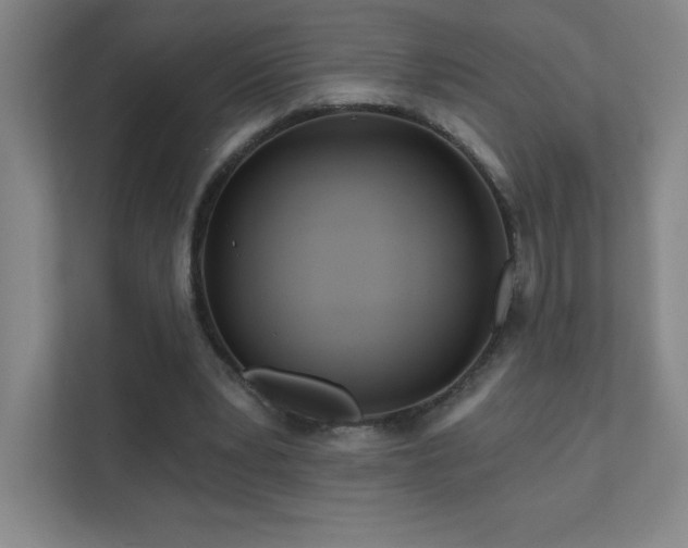 X0000111790391200907231147