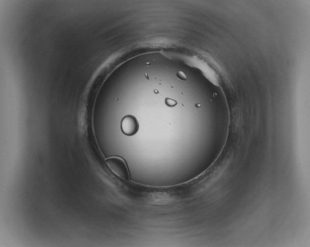 X0000111790392200907231147