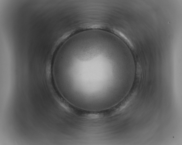 X0000111790394200907231147