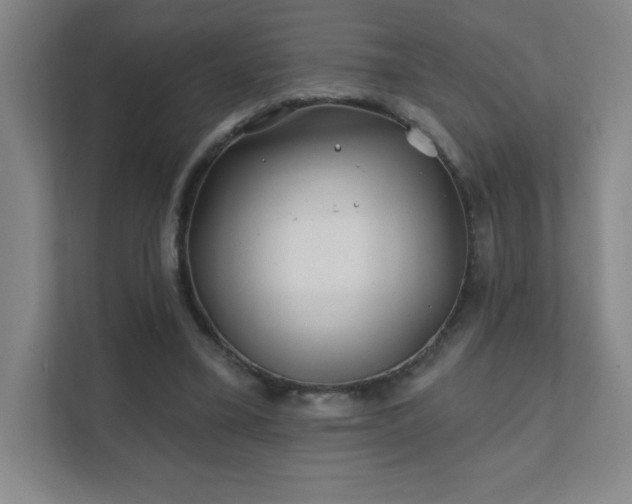 X0000111790395200907231147