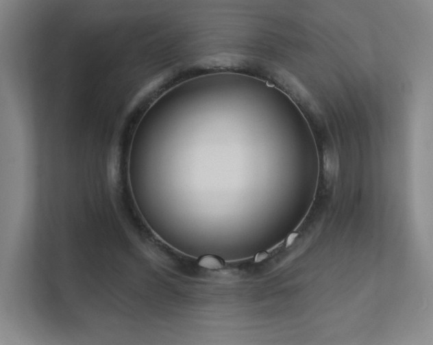 X0000111790396200907231147