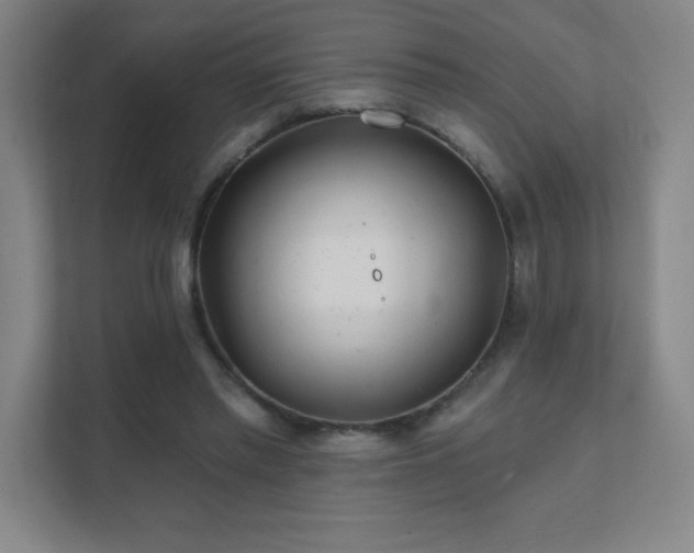 X0000111790397200907231147