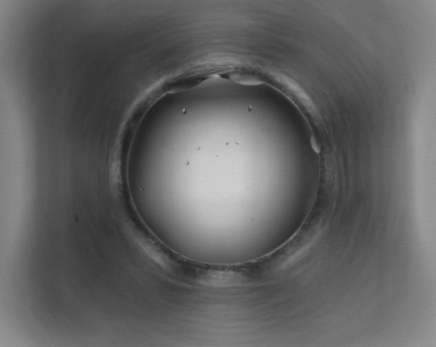 X0000111790399200907231147