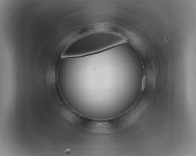 X0000111790401200907231147