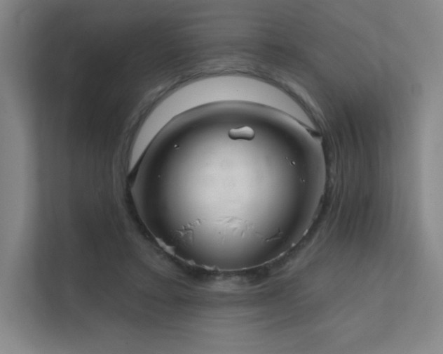 X0000111790403200907231147