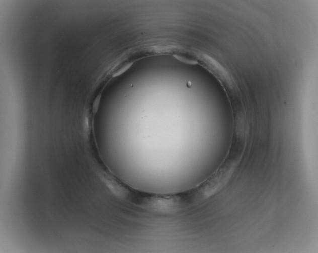 X0000111790405200907231147