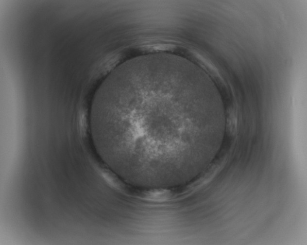 X0000111790410200907231147