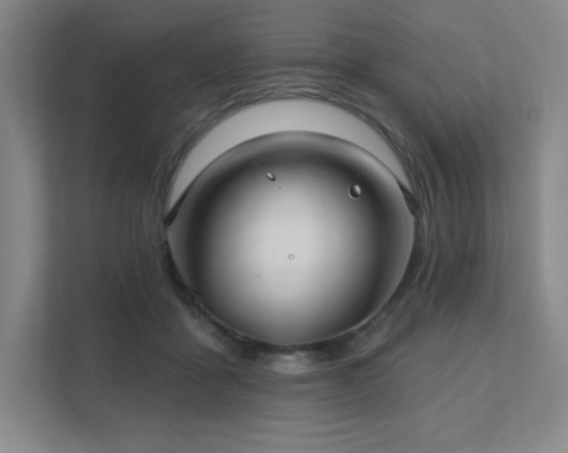 X0000111790411200907231147