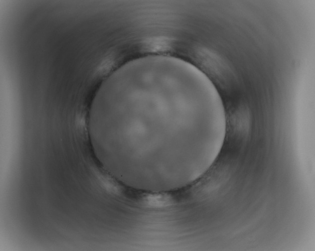 X0000111790415200907231147