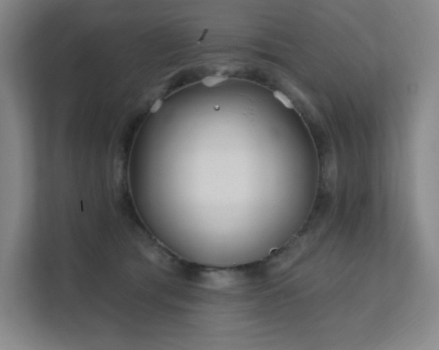 X0000111790417200907231147