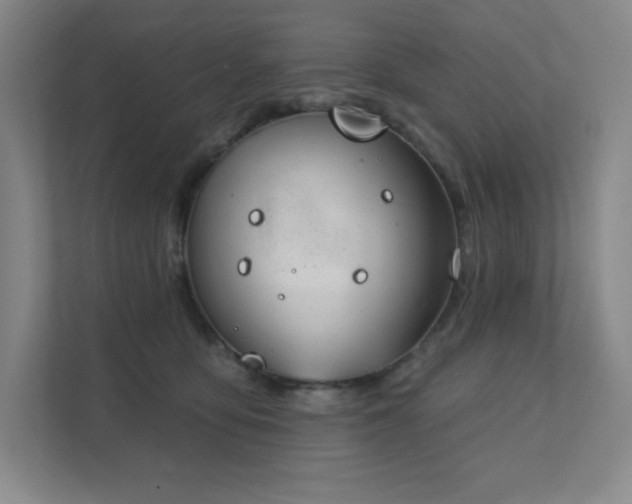 X0000111790419200907231147